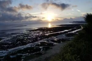 Aquarius Plumbing & Heating