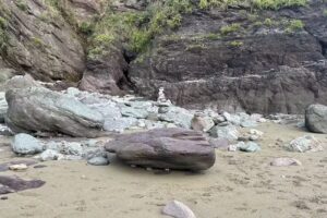 (Captial Plumbing) Emergency Plumber & Boiler Repair Plymouth