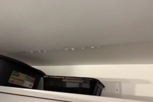 D G S Plumbing Services Ltd