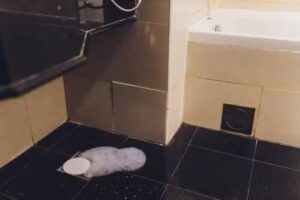 Drainage Highbridge &ndash; Blocked Drains