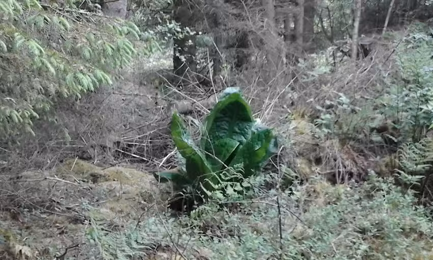 James Neil & Son Plumbing & Heating LLP