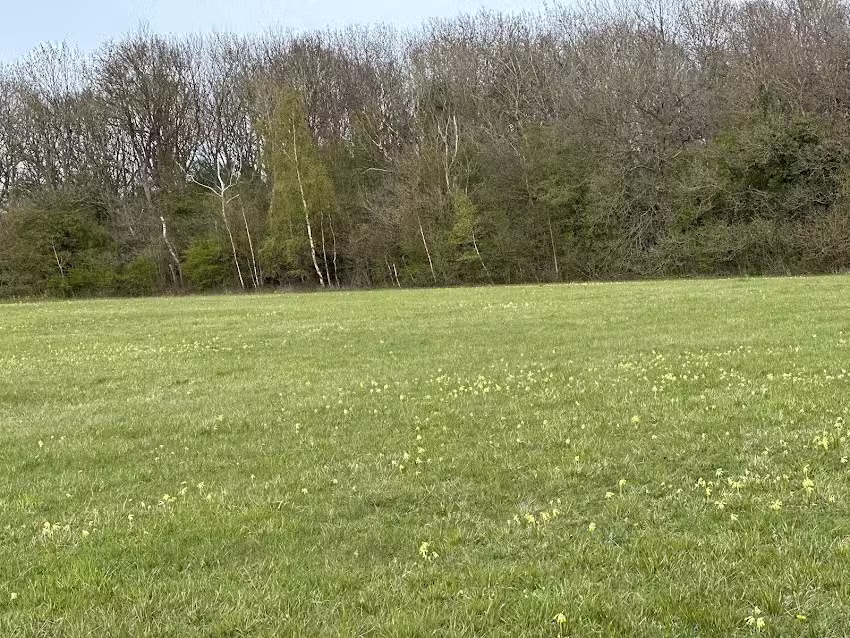 Lindrick Plumbing and Heating Ltd