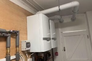 Mark Forrest & Company