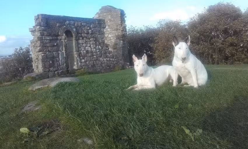 Neil Telford Plumbing & Heating