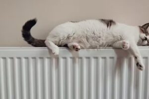 P&S – Plumbing & Heating