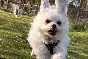 Paul Stone Plumbing & Heating