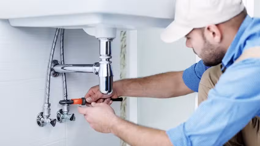 Thorne and Thorne Ltd